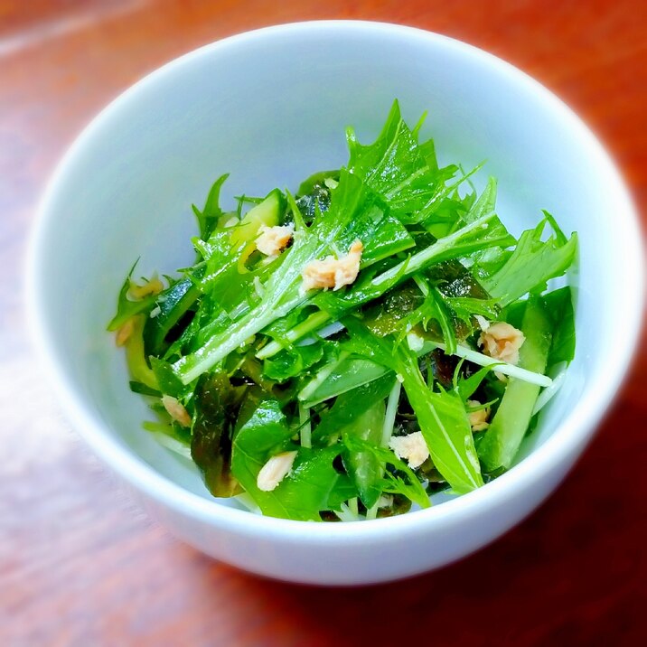 味付けはポン酢だけ!水菜とツナのシャキシャキサラダ